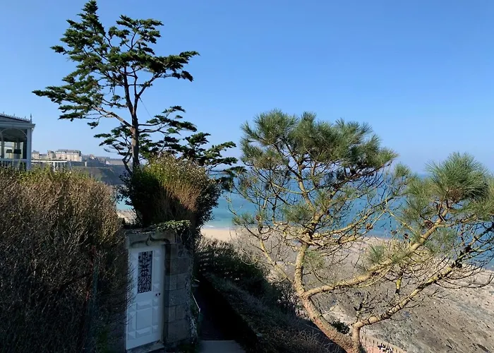 L'annexe, F2 Avec Jardin, 800 M De La *