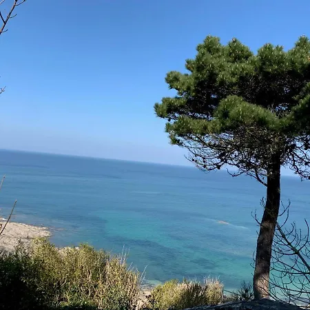 L'annexe, F2 Avec Jardin, 800 M De La Feriehus Donville-les-Bains